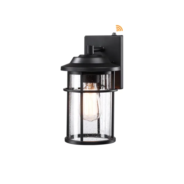 Schlesinger 1-Light Metal Wall Light With Dusk to Dawn