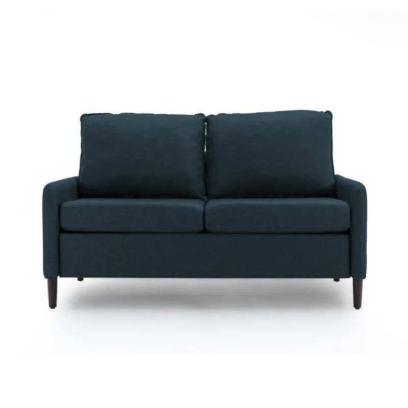 Zelmar 55.5" Modern Velvet Loveseat with Pillows