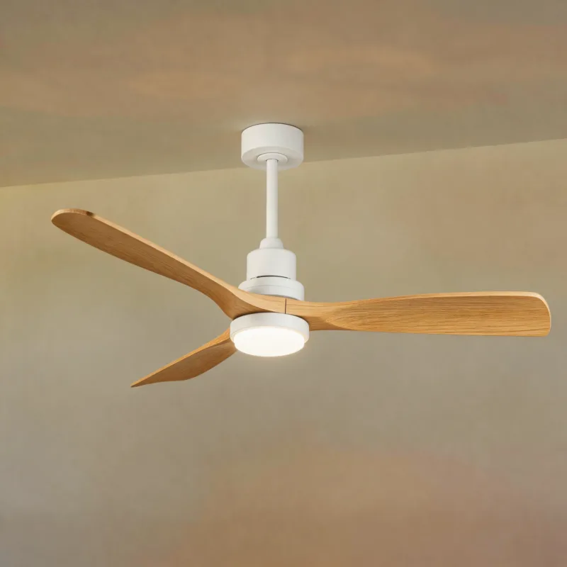 Briony 6-Speed Reversible LED Ceiling Fan Light with Remote - Image 2