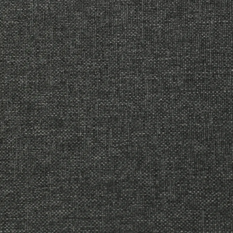 dark-gray4