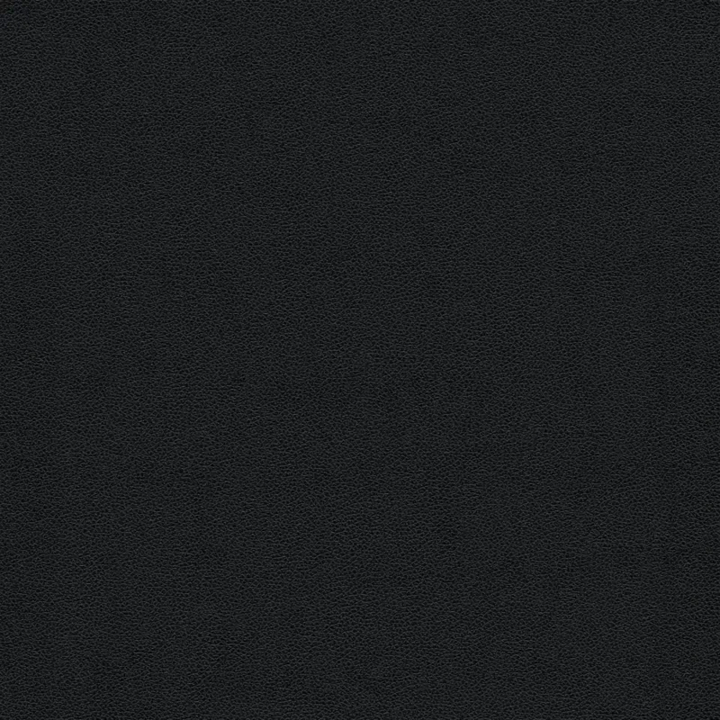 p-black2
